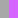 Light Grey/Purple