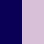 Navy / Light Purple