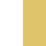 Metallic White/Metallic Gold (Glossy)