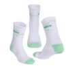 AP-208-V_09_WHITE-JERRY-MINT-02
