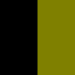 Black/Olive