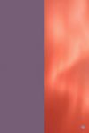 Dusty Purple / Living Coral