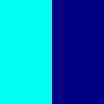 Aqua/Navy Blue