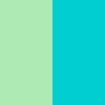 Mint Green / Dark Turquoise
