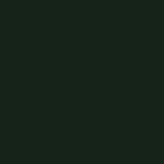 Classic Green (Logo : Silver)