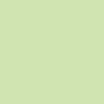 Energetic Green (Logo : Silver)