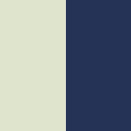pale yellow/navy